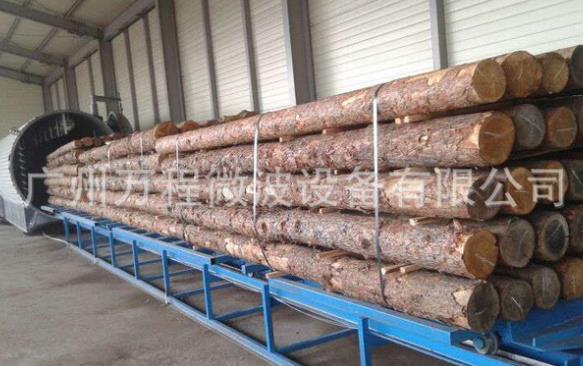 隧道式工業(yè)微波設(shè)備成效和膨化干燥